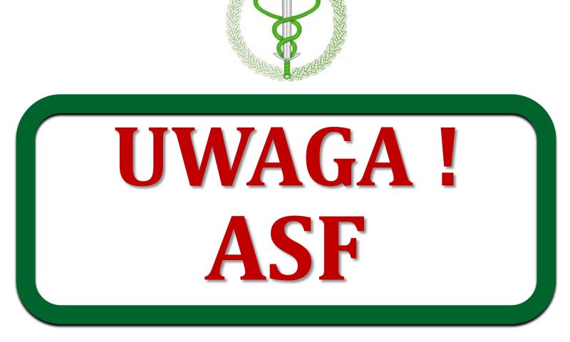Uwaga! Afrykański pomór Świń (ASF)