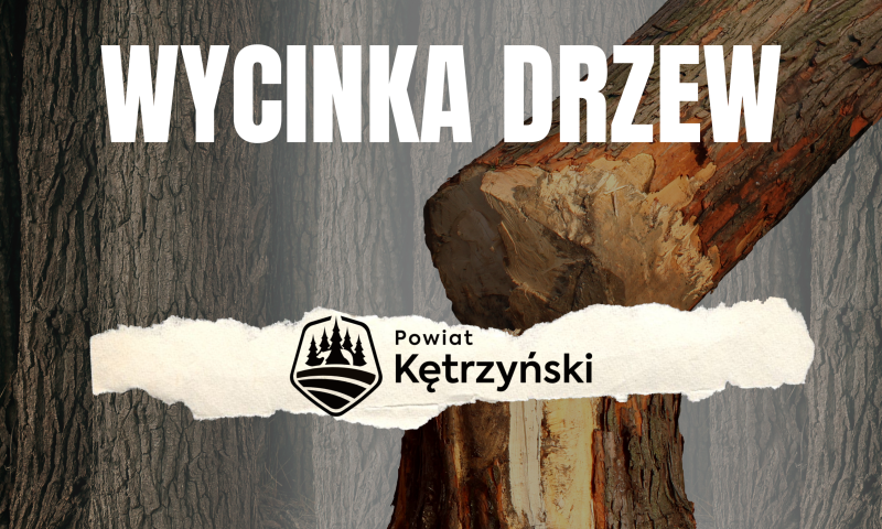Wycinka drzew niebezpiecznych w kompleksie leśnym „Poznańska górka” w Kętrzynie